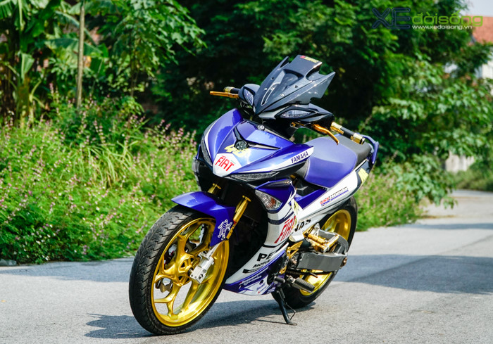 ảnh 15