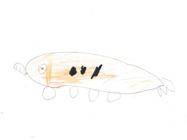 - Ảnh 8. - Ảnh 8.